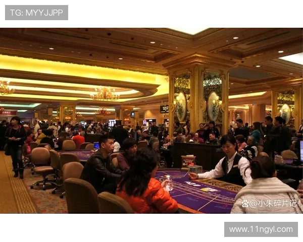 探索澳门最有名气的赌场及其魅力